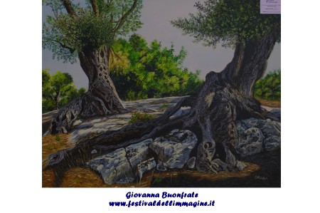 117 buonfrate